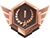 Bronze Icon